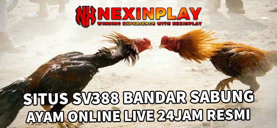 SITUS SV388 BANDAR SABUNG AYAM ONLINE LIVE 24JAM | NEXINPLAY